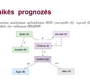 Vilniaus universiteto mokslininkų parengtos skaidrės, kuriose &ndash; prognozės apie koronavirusą