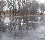 Automobilių stovėjimo aik&scaron;telės prie Kalniečių parko