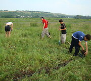 Archeologiniai tyrimai Novosilivkos gyvenvietėje, Rytų Ukrainoje (2008 m.)