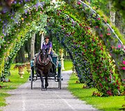 Savaitgalį atidaromas didžiausias vasaros gėlių festivalis žavės utopine gėlių, spalvų ir pramogų gausa