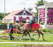 Vaizdai atima žadą: didžiausias gėlių festivalis Baltijos &scaron;alyse pasiekė žydėjimo piką 