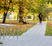 Rinktinės g.