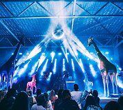 Hegelmann vertybių festivalis 