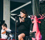 Hegelmann vertybių festivalis 