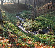 Liubavo dvaras