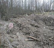 Vieta Varėnos rajone, i&scaron; kurios galimai neteisėtai pasisavinti rieduliai