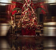 Manto Petru&scaron;kevičiaus kurtas dekoras