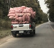 Monikos Bobinienės kelionių akimirkos