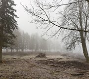 Nauji Eugenijaus Barzdžiaus namai