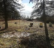 Nauji Eugenijaus Barzdžiaus namai