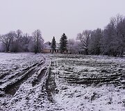 Nauji Eugenijaus Barzdžiaus namai