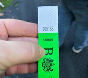 Inga Bunina 11 val. laukė eilėje, kad pagerbtų karalienę