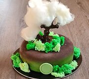 Monikos Jurgelevičienės darytas tortas