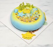 Monikos Jurgelevičienės darytas tortas