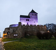 Bedzino pilis