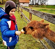 Nerijaus Ju&scaron;kos sūnaus Pauliaus 6-ojo gimtadienio i&scaron;vyka