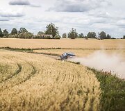 &bdquo;Gravel fest rally 2019&ldquo; akimirkos