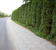 Atnaujinta sostinės Noragi&scaron;kių gatvė