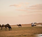 Pirmoji Dakaro savaitė Saudo Arabijoje