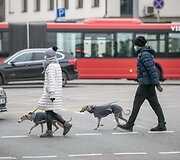 Eismo organizavimo pakeitimai Kalvarijų g. &ndash; Konstitucijos pr. &ndash; &Scaron;eimyni&scaron;kių g. sankryžoje