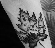 Tatuiruočių pavyzdžiai