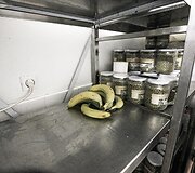 Santaros klinikų maisto tiekimo akimirka