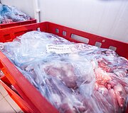 Santaros klinikų maisto tiekimo akimirka