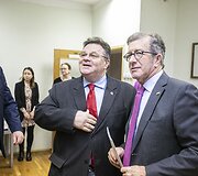 Linas Linkevičius