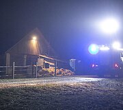 Avižienių seniūnijoje užsiliepsnojo žirgynas