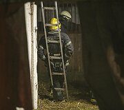 Avižienių seniūnijoje užsiliepsnojo žirgynas