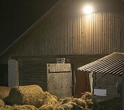 Avižienių seniūnijoje užsiliepsnojo žirgynas