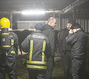 Avižienių seniūnijoje užsiliepsnojo žirgynas