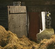 Avižienių seniūnijoje užsiliepsnojo žirgynas