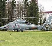 Sraigtasparnio nusileidimo akimirka