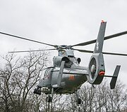 Sraigtasparnio nusileidimo akimirka