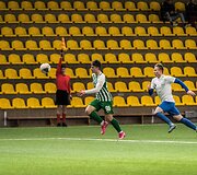 Kontrolinės rungtnės: Vilniaus &bdquo;Žalgiris&ldquo; - Kėdainių &bdquo;Nevėžis&ldquo;