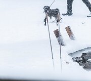 &Scaron;vento Valentino diena palydėta maudynėmis