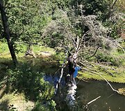1200 km žygio &bdquo;Už &scaron;varią Lietuvą!&ldquo; dienora&scaron;tis: &Scaron;ventoji &ndash; Laukžemė, 18 km
