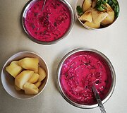 Darbą biure vilnietės Monika ir Ieva i&scaron;keitė į metų trukmės kelionę aplink Europą