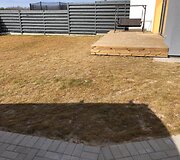 Vejos įrengimas ir priežiūra