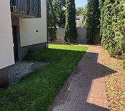 Vejos įrengimas ir priežiūra