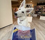 Užsukti miela ir klientams, ir jų keturkojams