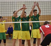 Baltijos tinklinio taurė