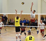 Baltijos tinklinio taurė