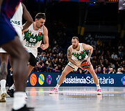 Ignas Brazdeikis