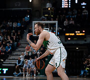 Ignas Brazdeikis