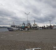 Burgasas