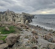 Burgasas