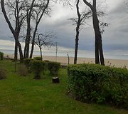 Burgasas