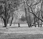 A.Verygos fotografijos